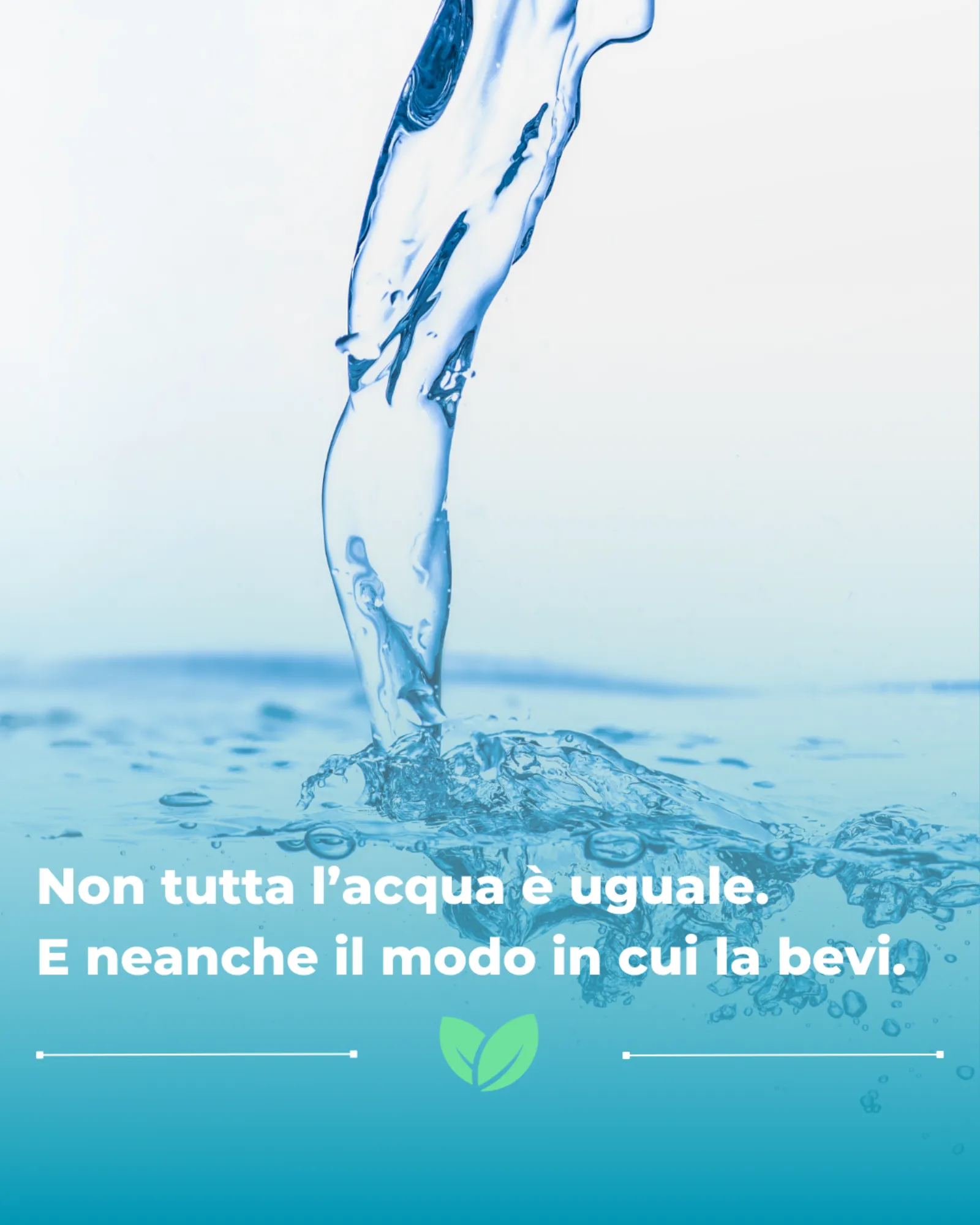 Grafica realizzata per Soypura