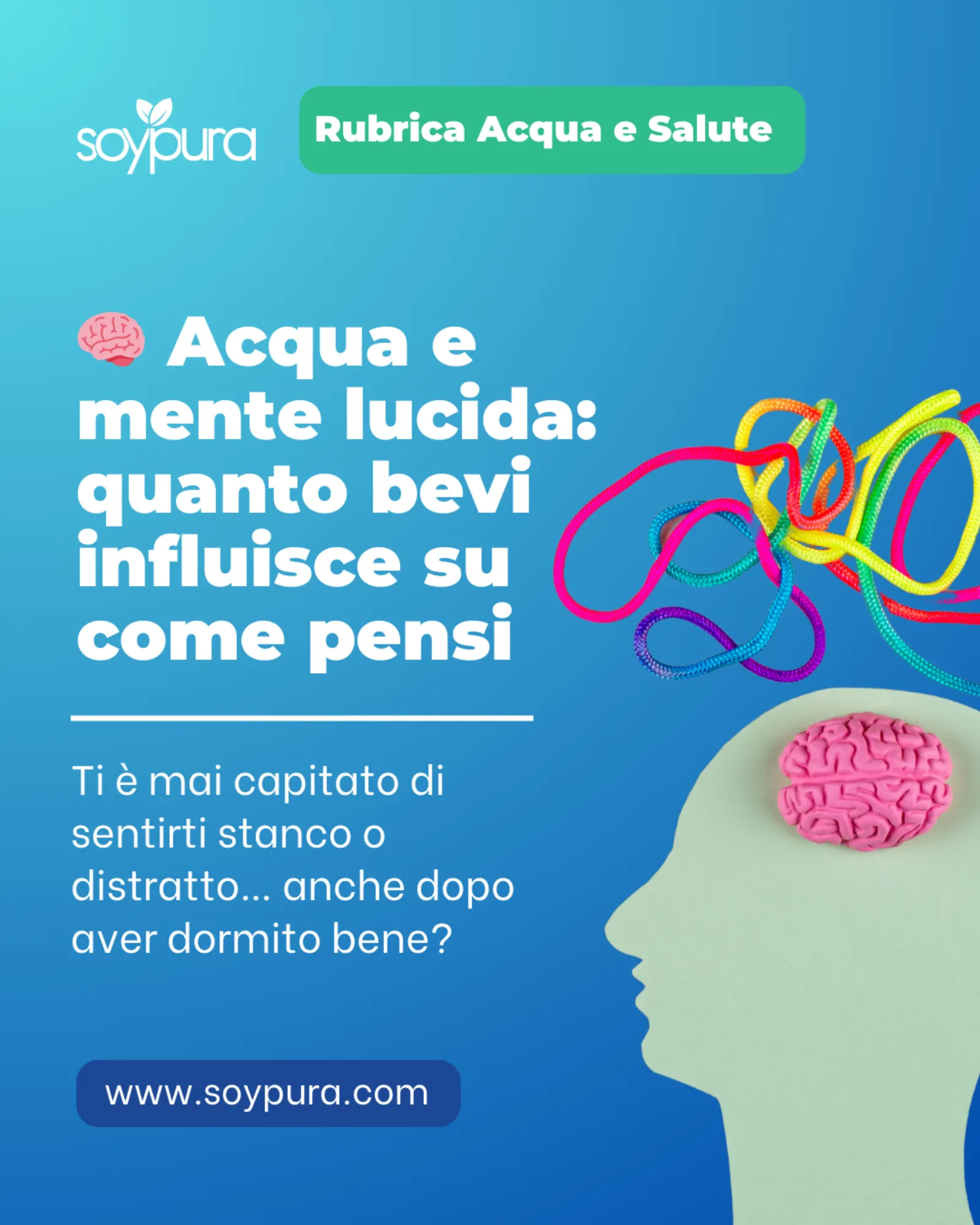 Grafica realizzata per Soypura
